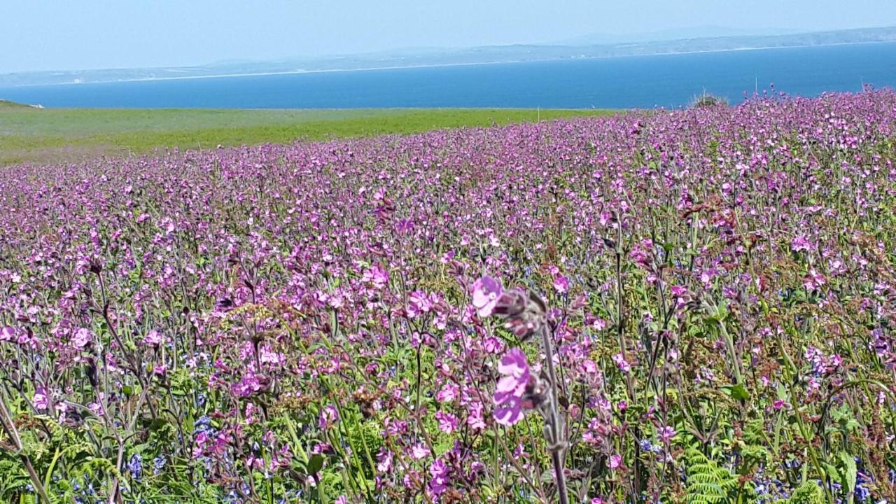 A Beach Holiday In Pembrokeshire Luaran gambar